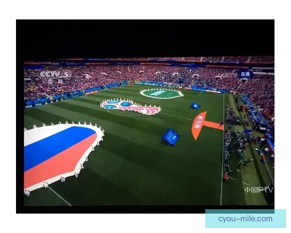 2026世界杯志愿者报名系统高峰流量导致暂时瘫痪